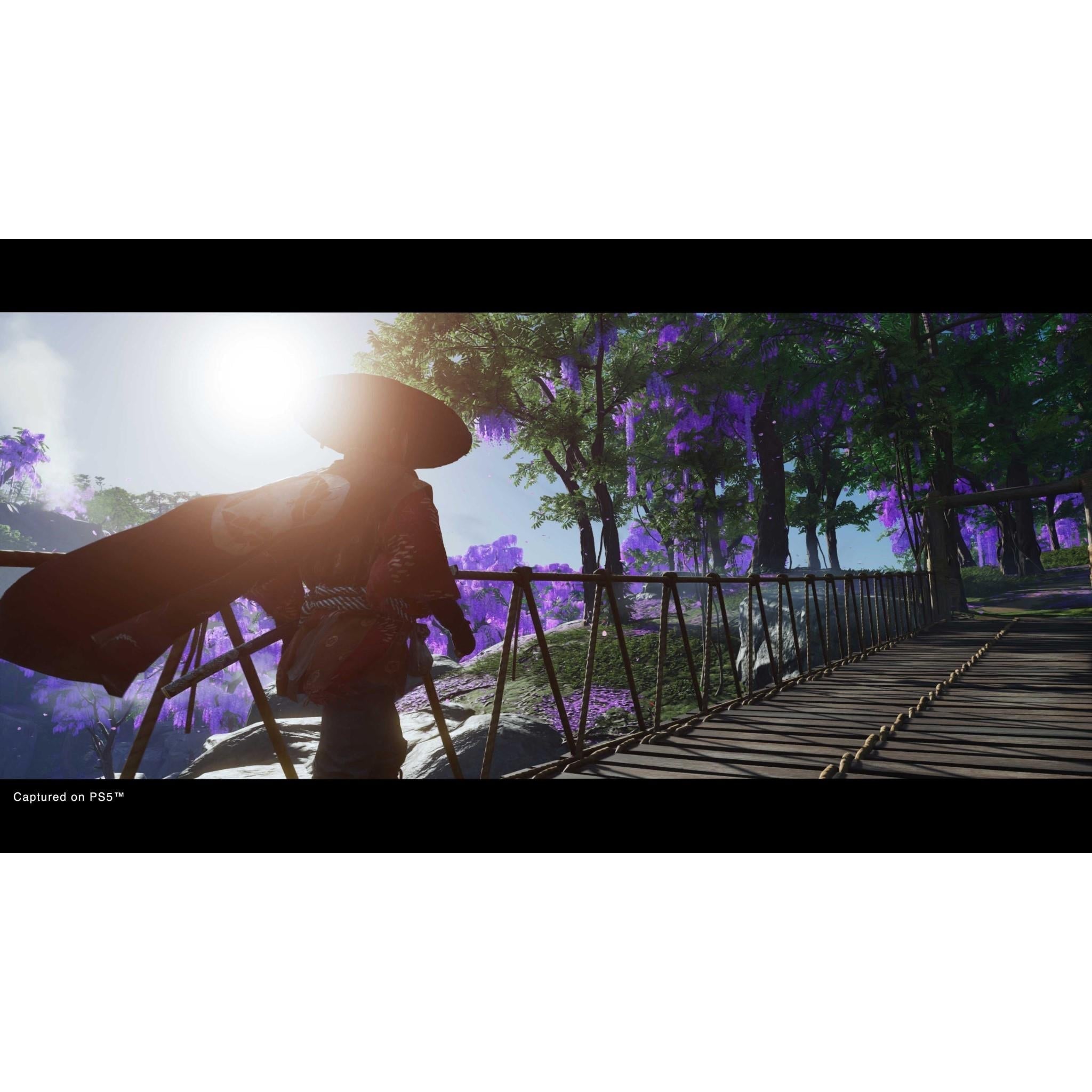 Ghost of Tsushima Director’s Cut