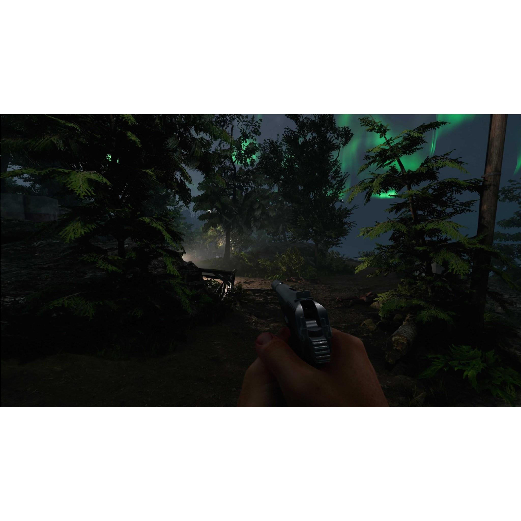 Projekt Z: Beyond Order