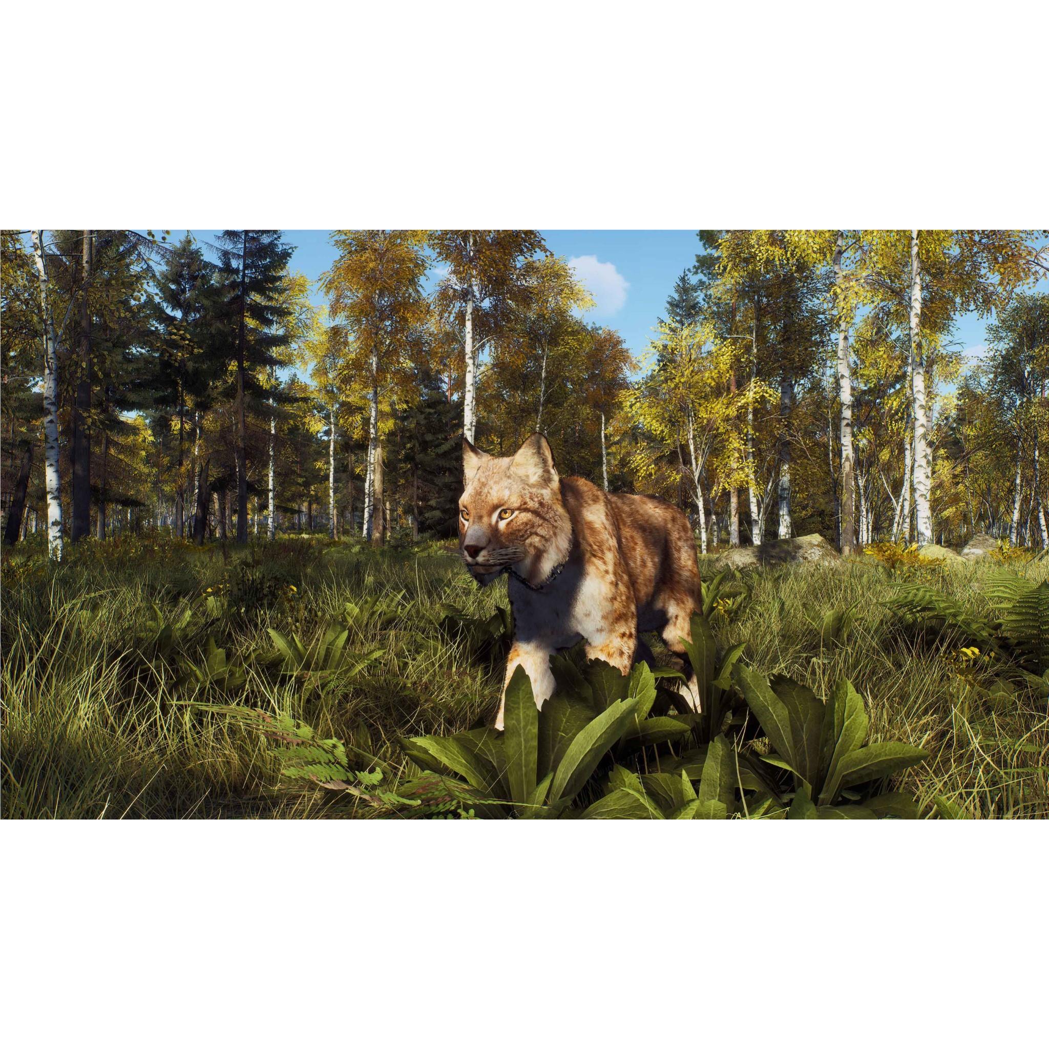 Way of the Hunter: Wild Expeditions